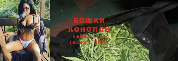 дурь Алзамай