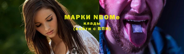 хмурый Алексин