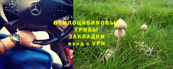 дурь Алзамай