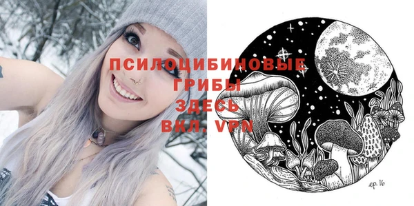 хмурый Алексин