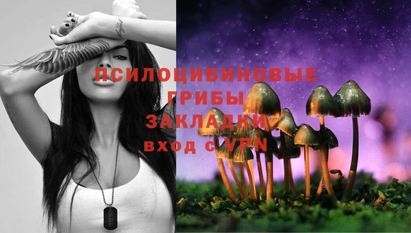 хмурый Алексин
