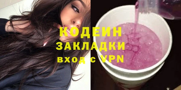 хмурый Алексин