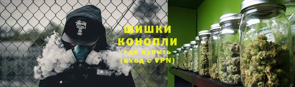 дурь Алзамай