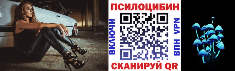 площадка телеграм  Устюжна  Псилоцибиновые грибы Psilocybe 