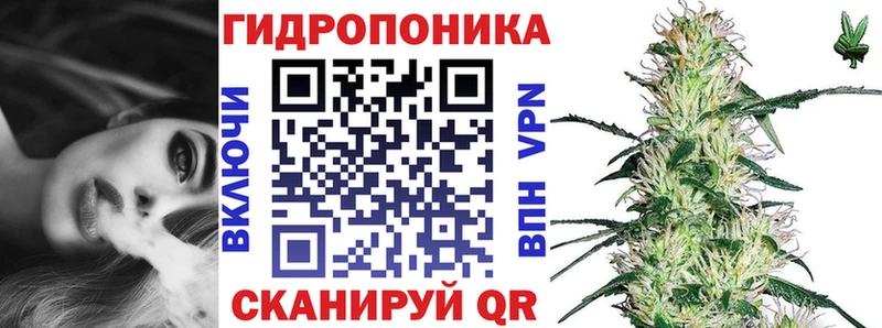 Конопля сатива  где купить наркоту  Устюжна 